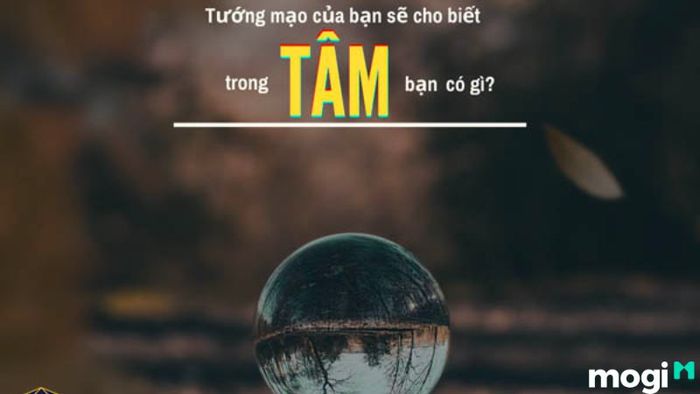 Tâm Sinh Tướng: Bí Ẩn Của Tướng Mạo Và Nhân Cách