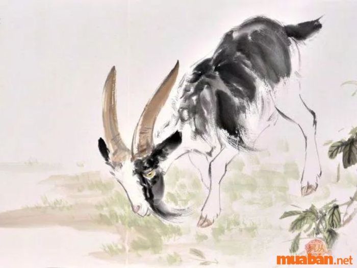 Dự đoán tử vi của những người sinh vào giờ Hợi sẽ diễn biến ra sao.