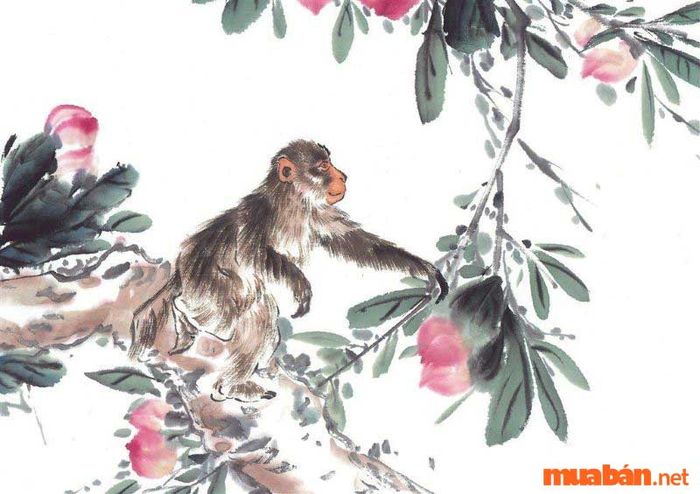 Tử vi tuổi Thân 1980 nam mạng
