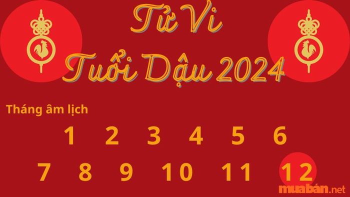 Tử vi tuổi Dậu tháng 12 âm lịch năm 2024 mang nhiều dự báo không mấy tích cực, các lĩnh vực tài chính và công việc có thể gặp phải những thử thách khó khăn.