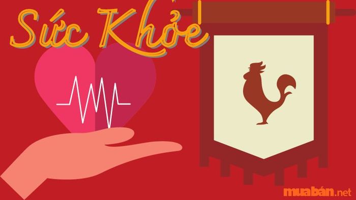 Phân tích tử vi tuổi Dậu năm Giáp Thìn 2024 về sức khỏe