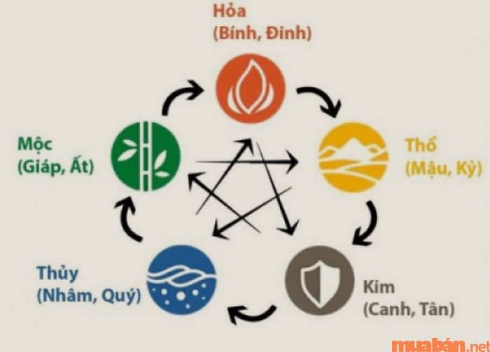 Tìm hiểu Thiên Can là một phương pháp để biết mệnh của bạn và người bạn hợp tác là ai.
