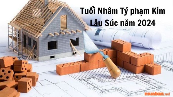 Gia chủ tuổi Nhâm Tý cần tránh gặp hạn Kim Lâu khi xây nhà.