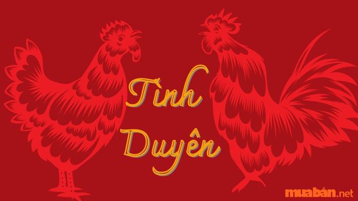 Phân tích tử vi tuổi Dậu năm Giáp Thìn 2024 về tình duyên