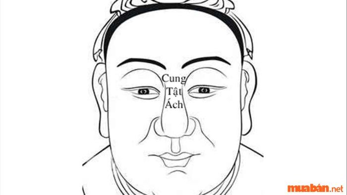 Cung Tật Ách