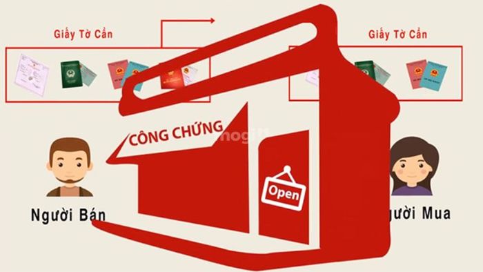 Quy trình mua bán, chuyển nhượng đất rừng sản xuất
