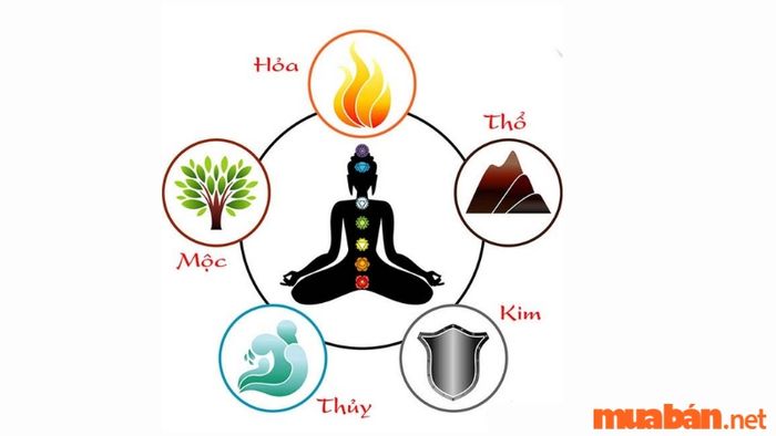 Phân tích ngũ hành tương sinh theo mệnh