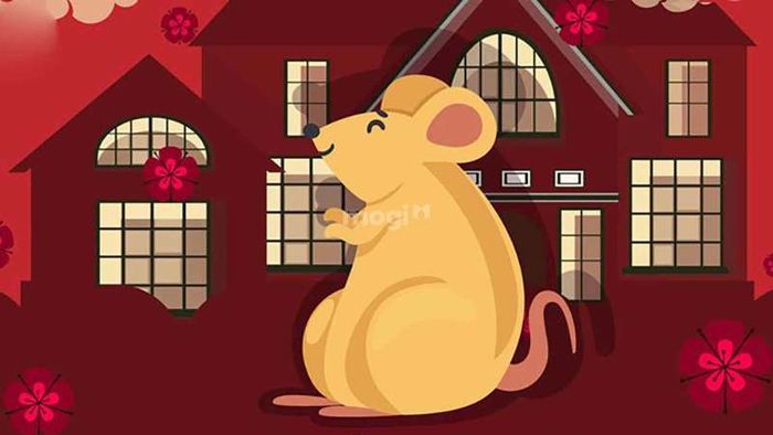 Gia chủ nữ mạng tuổi Nhâm Tý 1972 nên chọn hướng nào để thu hút tài lộc và may mắn?