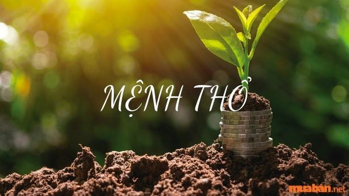 Khái quát về mệnh Thổ
