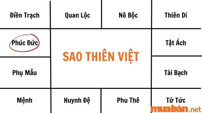 Sao Thiên Việt được sự giúp đỡ của nhiều người và luôn có sự bảo vệ của thần linh