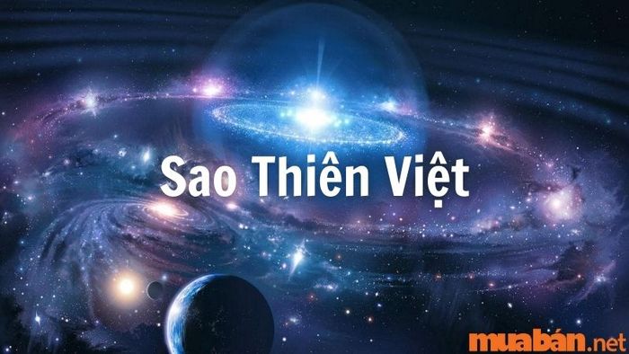 Tất cả thông tin về sao Thiên Việt có tại Mytour