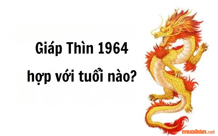 Tuổi Giáp Thìn 1964 hợp với những tuổi nào?
