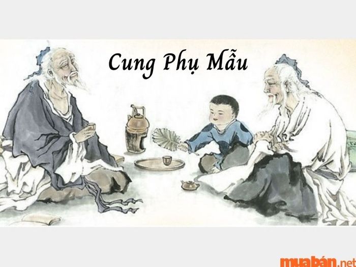Ý nghĩa của sao Thai Phụ và Phong Cáo khi nằm tại Cung Phụ Mẫu