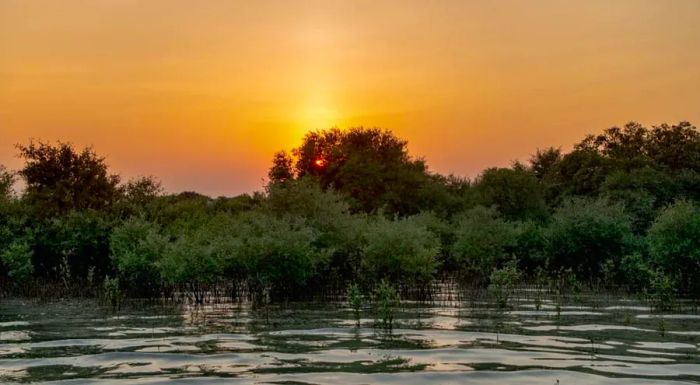 Qatar has initiated various conservation efforts to safeguard its natural ecosystems.