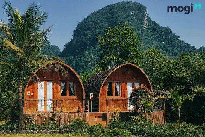 Long mạch là mảnh đất có vị trí đẹp, thu hút sự quan tâm của các nhà đầu tư.
