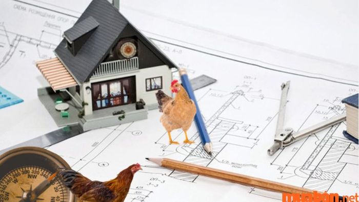 Nam sinh năm Quý Dậu 1993 hợp với hướng nào?