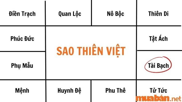 Sao Thiên Việt có khả năng kiếm được nhiều tiền và không gặp phải vấn đề tài chính.
