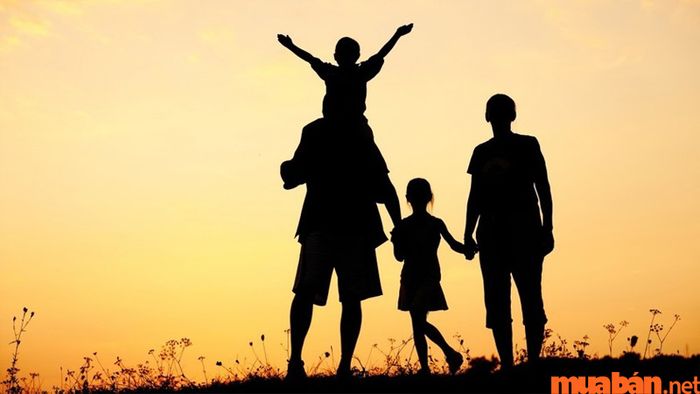 Sao Thiên Phủ tại cung Phụ Mẫu cho thấy bạn có mối quan hệ khá tốt với cha mẹ và được chăm sóc đầy đủ khi còn nhỏ.