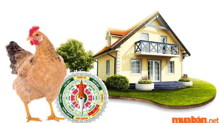 Nữ tuổi 1993 hợp với hướng nào?