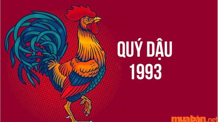 Tổng quan về tuổi Quý Dậu 1993