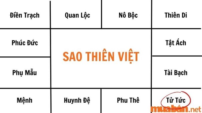 Sao Thiên Việt trong cung Tử Tức liên quan đến con cái tài giỏi, hiếu thảo và có sự nghiệp vững vàng.