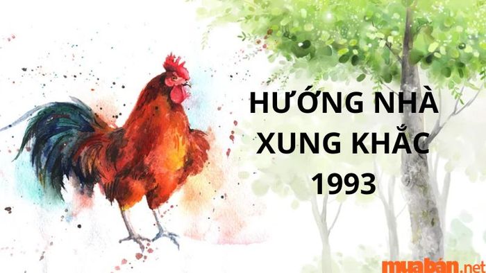Hướng nhà không hợp với nam tuổi Quý Dậu