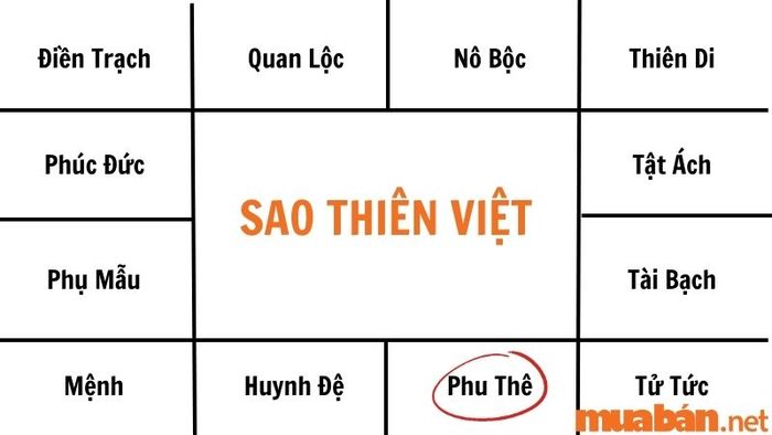 Bạn đời của sao Thiên Việt thường xuất thân từ những gia đình danh giá, có tính cách ngay thẳng và cương trực.