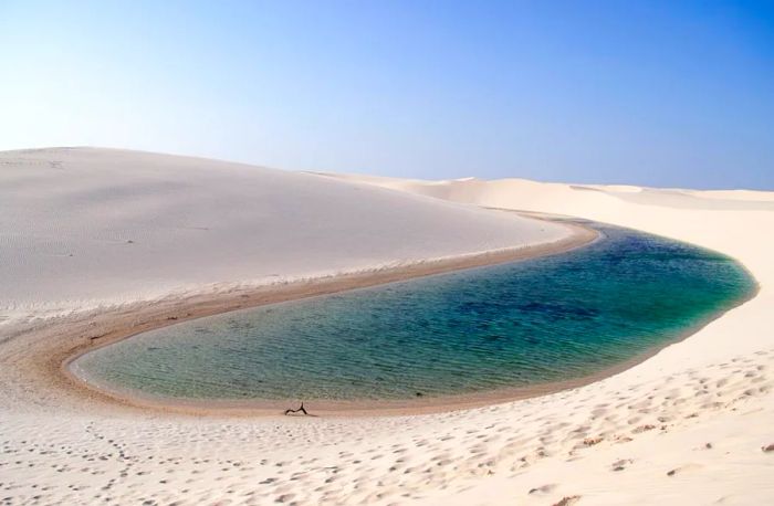 The freshwater lagoons are seasonal, with water levels reaching their lowest point between November and January.