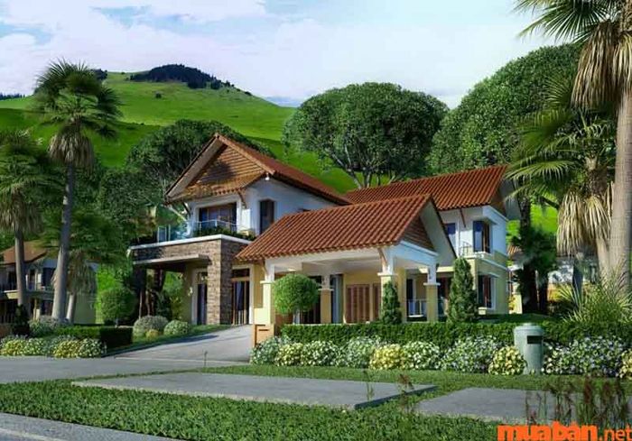 Khi Thiếu Dương chiếu mệnh kết hợp với Đào Hoa, người đương mệnh sẽ có cơ hội sở hữu nhà từ khi còn trẻ, tạo dựng được nền tảng vững chắc ngay từ lúc khởi đầu.
