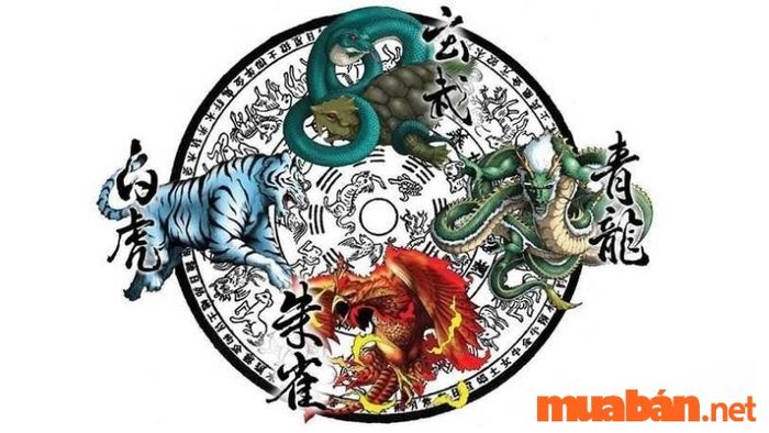 Những bộ sao tốt khi kết hợp với sao Bạch Hổ