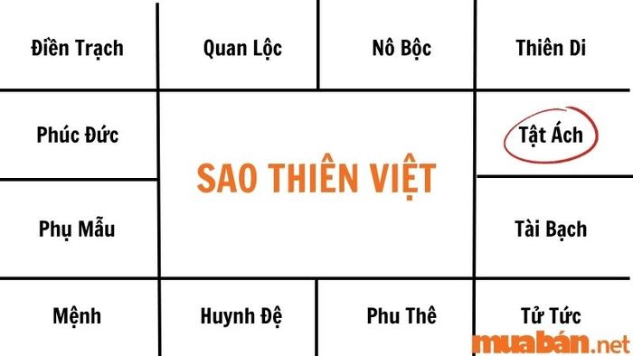Sao Thiên Việt ở cung Tật Ách chủ yếu liên quan đến tính hỏa và các vấn đề sức khỏe như bệnh về mắt, vai và đầu.