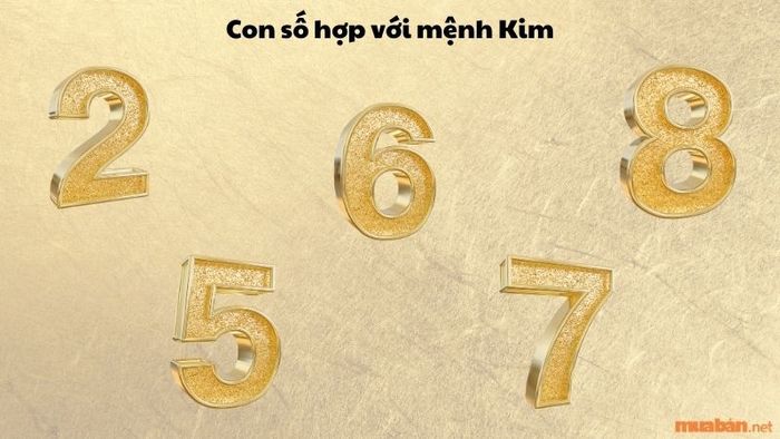 Các con số hợp với người mệnh Kim