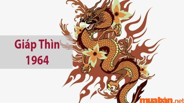Tìm hiểu mệnh của người sinh năm 1964: Bạn thuộc mệnh gì?
