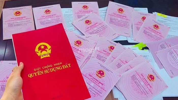 Những quy định liên quan đến đất RPH