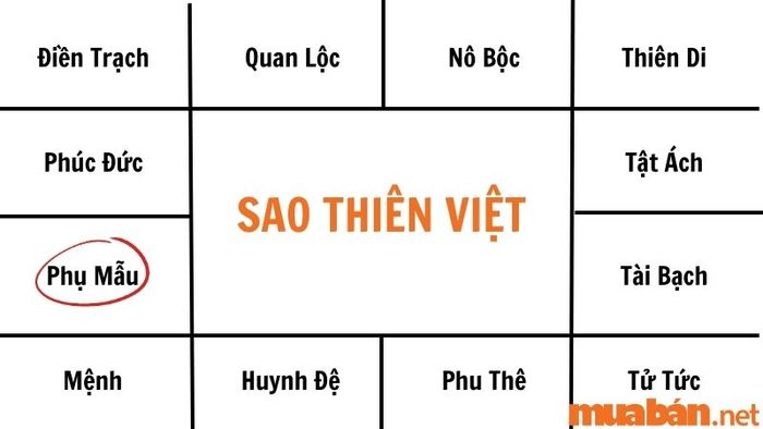 Cha mẹ của người mang sao Thiên Việt thường sở hữu tri thức sâu rộng, quý phái, quyền lực và sự khéo léo trong giao tiếp.