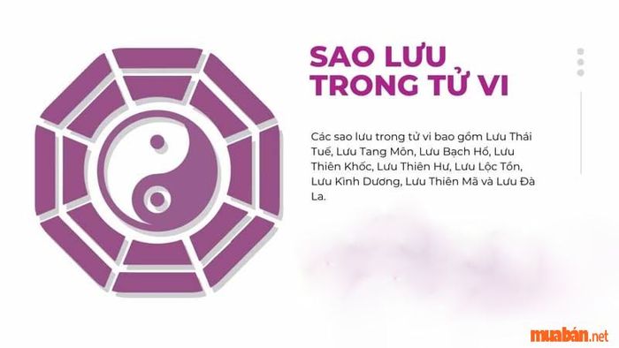 Khái niệm sao lưu trong tử vi