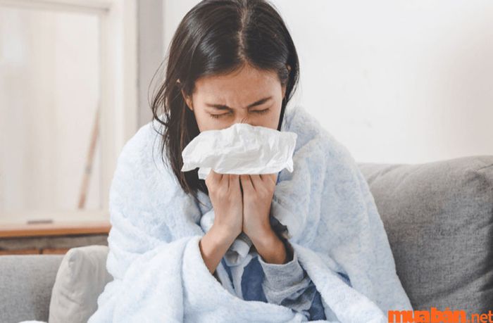 Khi Thiếu Dương kết hợp với sao xấu, người mang mệnh sẽ phải chịu đựng nhiều trắc trở, bệnh tật, và liên tục gặp phải những điều không may mắn trong cuộc sống