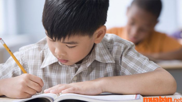Nếu bạn sở hữu sao Hóa Khoa, bạn sẽ được nuôi dưỡng trong một môi trường học thuật đầy đủ và phát triển ngay từ khi còn nhỏ.