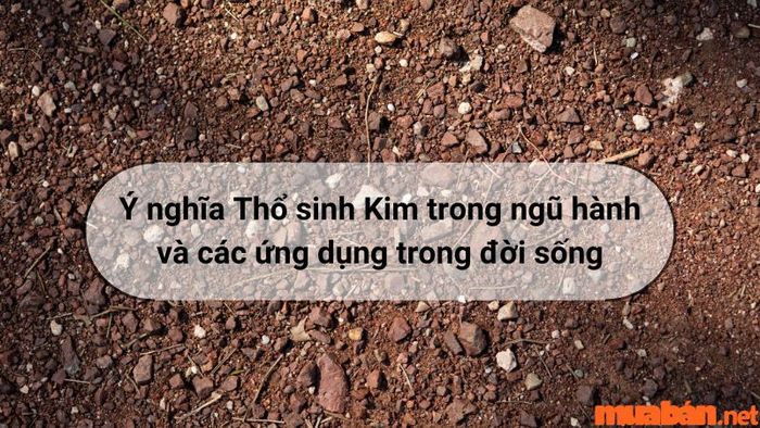 Thổ sinh Kim