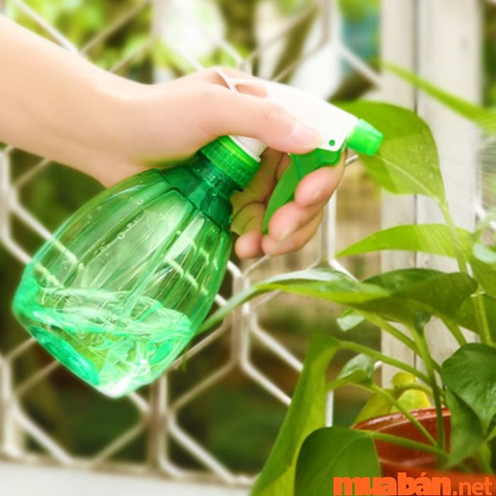 Cung cấp đủ nước cho cây trồng.