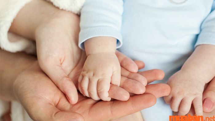 Nếu có sao Cự Môn, bạn nên làm con thừa tự của chú bác để giảm bớt sự khắc chế từ cha mẹ.