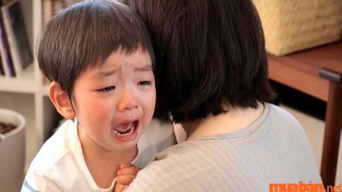 Khi Thái Âm bị hãm, bạn sẽ không nhận được phúc lộc từ mẹ.