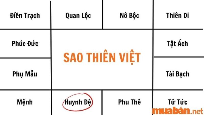 Sao Thiên Việt trong cung Huynh Đệ chỉ ra rằng người này có không quá ba người em.