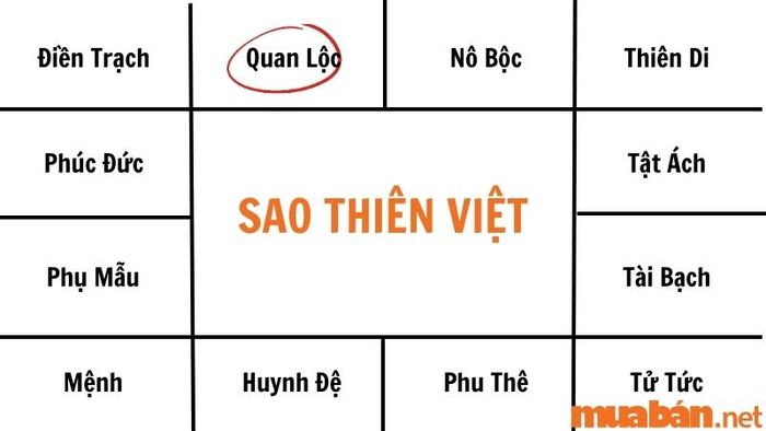 Sao Thiên Việt đạt được nhiều thành tựu, nắm giữ các vị trí quan trọng và luôn được tin tưởng.
