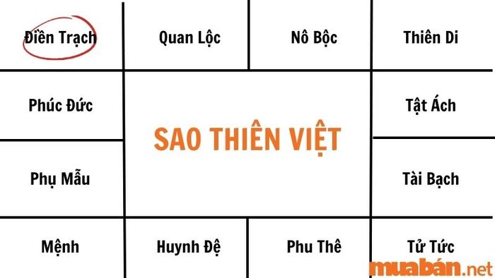Sao Thiên Việt ở cung Điền Trạch sở hữu những căn nhà khang trang, sáng sủa và đầy vẻ đẹp