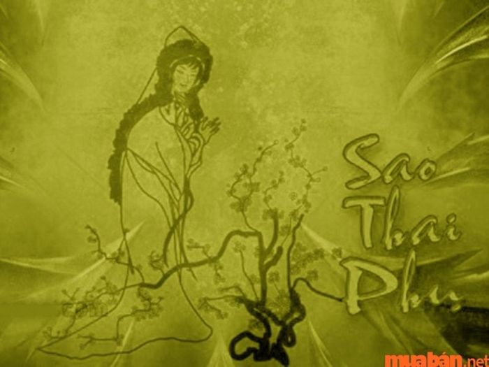 Ý nghĩa của sao Thai Phụ trong cung mệnh