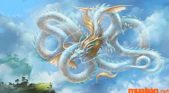 Người sinh năm 1964 mang tuổi Giáp Thìn, cầm tinh con rồng đầy quyền lực.