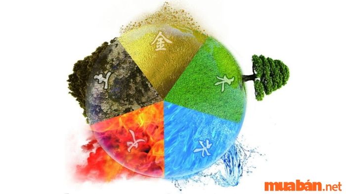 Ứng dụng ngũ hành tương sinh vào đời sống