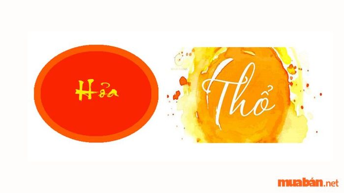 Cây Vạn Lộc hợp với mệnh nào?