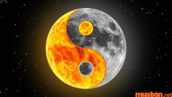 Thiếu Dương đồng cung với Thiếu Âm sẽ tỏa sáng rực rỡ